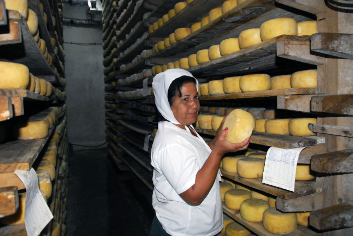 90 toneladas de queso en vísperas del 30 