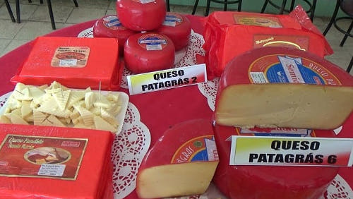 Récord de empacado de quesos para sustituir importaciones