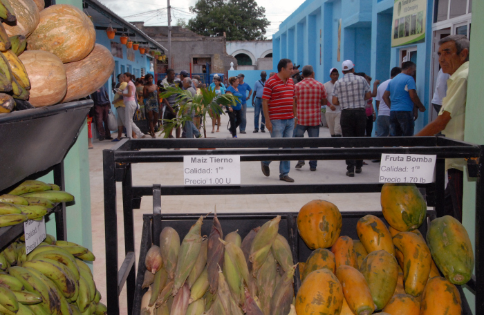 Foto: Otilio Rivero Delgado/ Adelante/ Archivo