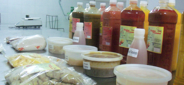 Viceministra de la Alimentaria llama a diversificar producciones 