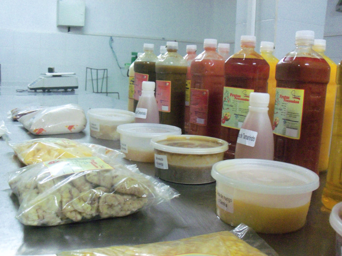 Viceministra de la Alimentaria llama a diversificar producciones 