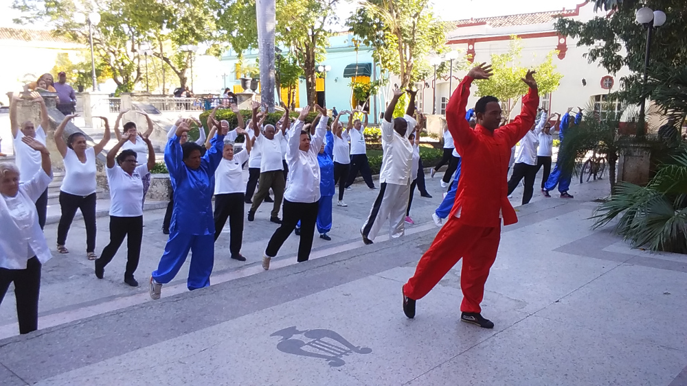 Artes marciales presentes en el verano