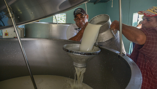 Dos cooperativas camagüeyanas a un paso del millón 