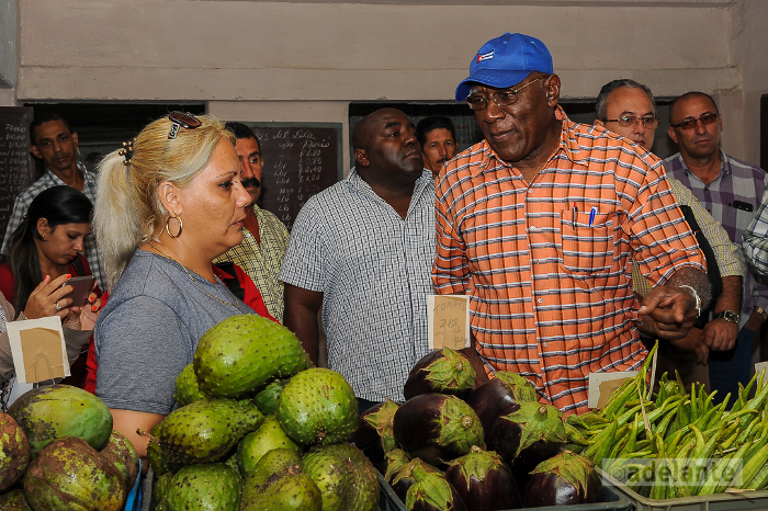 Insta Salvador Valdés a intensificar producción de alimentos