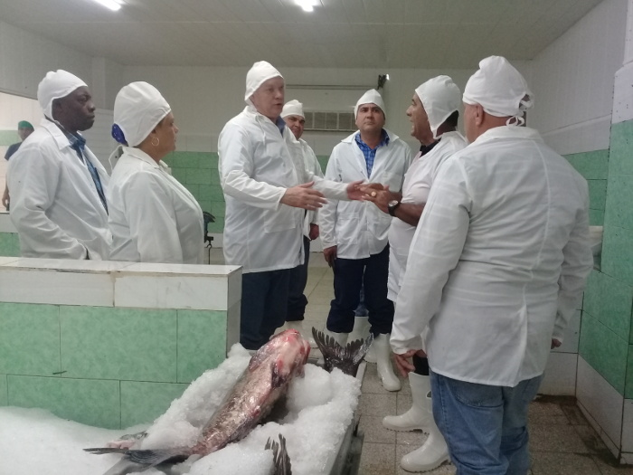 Fotos: De la autora Camagüey puede diversificar fondos exportables