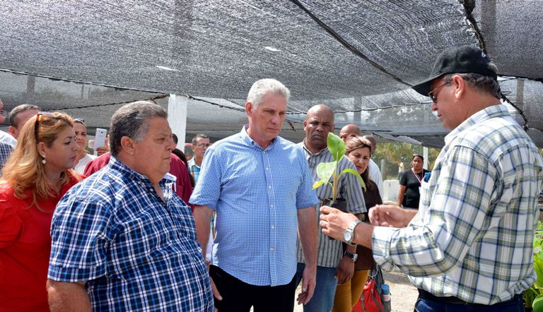 La Biofábrica de Semillas ubicada en el reparto Puerto Príncipe es vital aquí para el aseguramiento de la producción agroalimentaria.