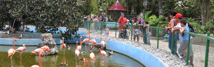 El zoológico al alcance del verano/ camaguey