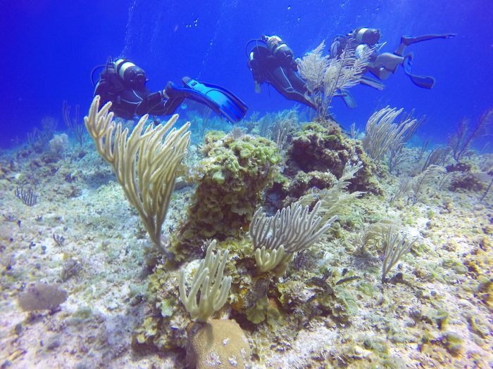 Desde la ciencia, recomponer el medioambiente