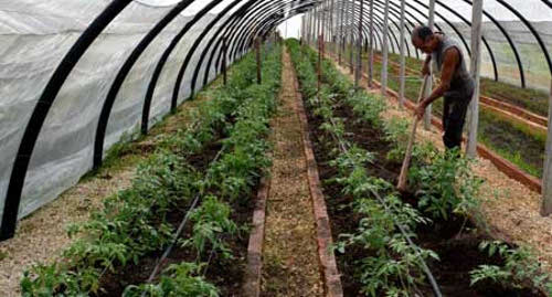 Finca camagüeyana se inserta en circuito agroecológico