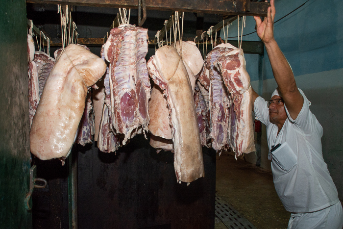 La calidad es una característica de la producción en el centro floridano.