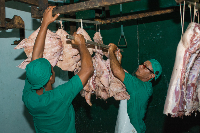 Luces verdes en las iniciativas de una empacadora