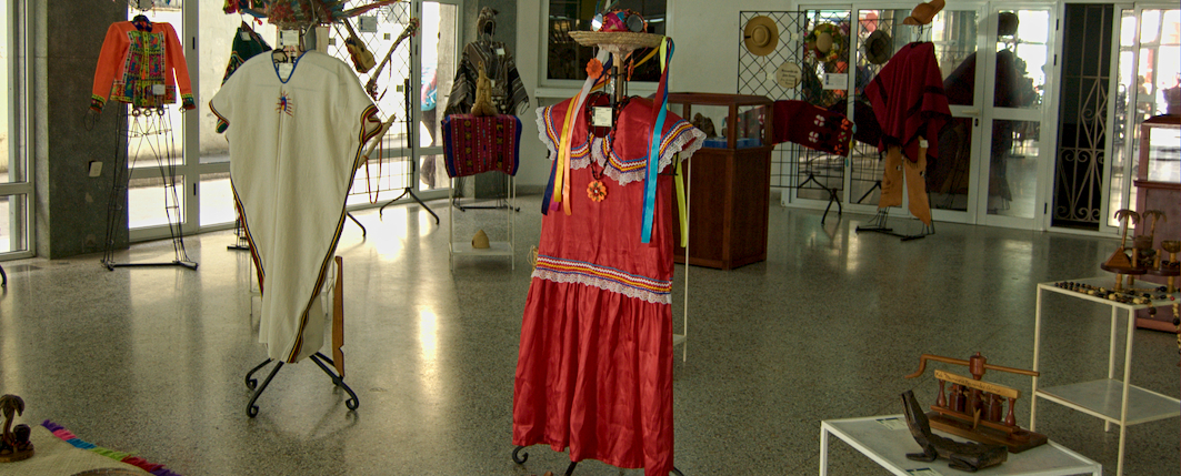 Un fragmento del mundo amazónico boliviano en Camagüey