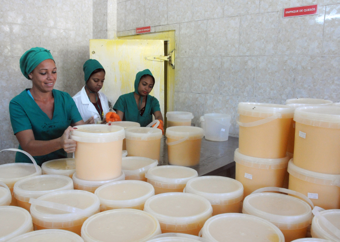 El tesoro de La Vaquita