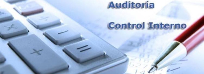 Los auditores no son meros revisadores de problemas técnicos contables