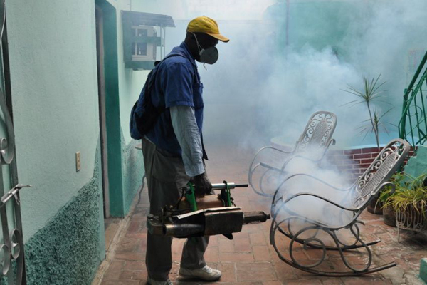 Foto: Tomada de ACN Acciones contra el Aedes aegypti