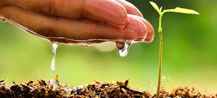 Concluye taller sobre cambio climático en Camagüey