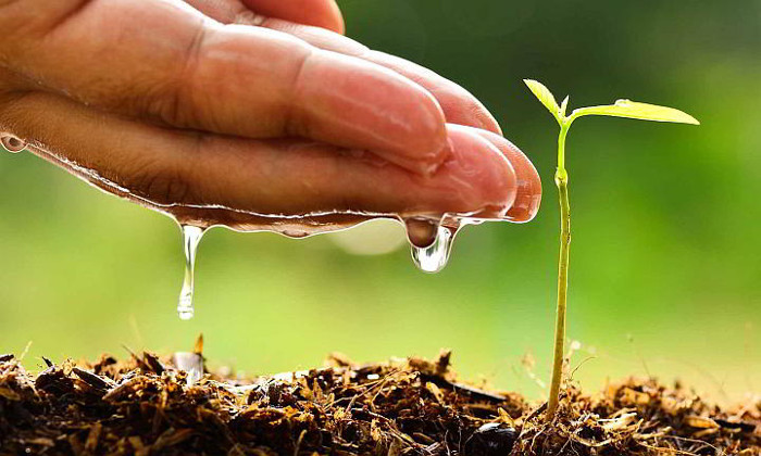 Imagen: Tomada de acn.cu Concluye taller sobre cambio climático en Camagüey