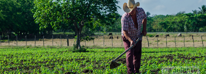 Municipality of Camagüey avant-garde in the rural emulation