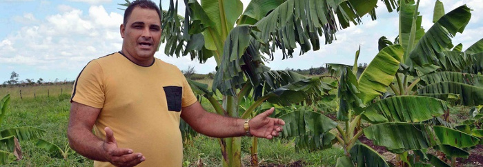 Diversificarnos para asegurar producción de carne porcina