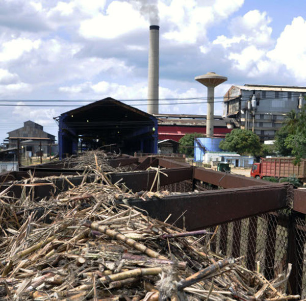 Foto: Otilio Rivero Delgado/Adelante/Archivo Analizan resultados de la zafra azucarera cubana