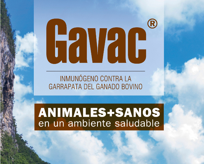 Acoge Camagüey VII Taller Nacional de Productos Estratégicos Agropecuarios