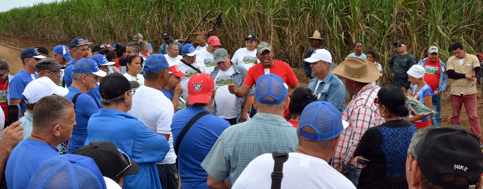 Camagüey expone resultados ante cañeros de Cuba 
