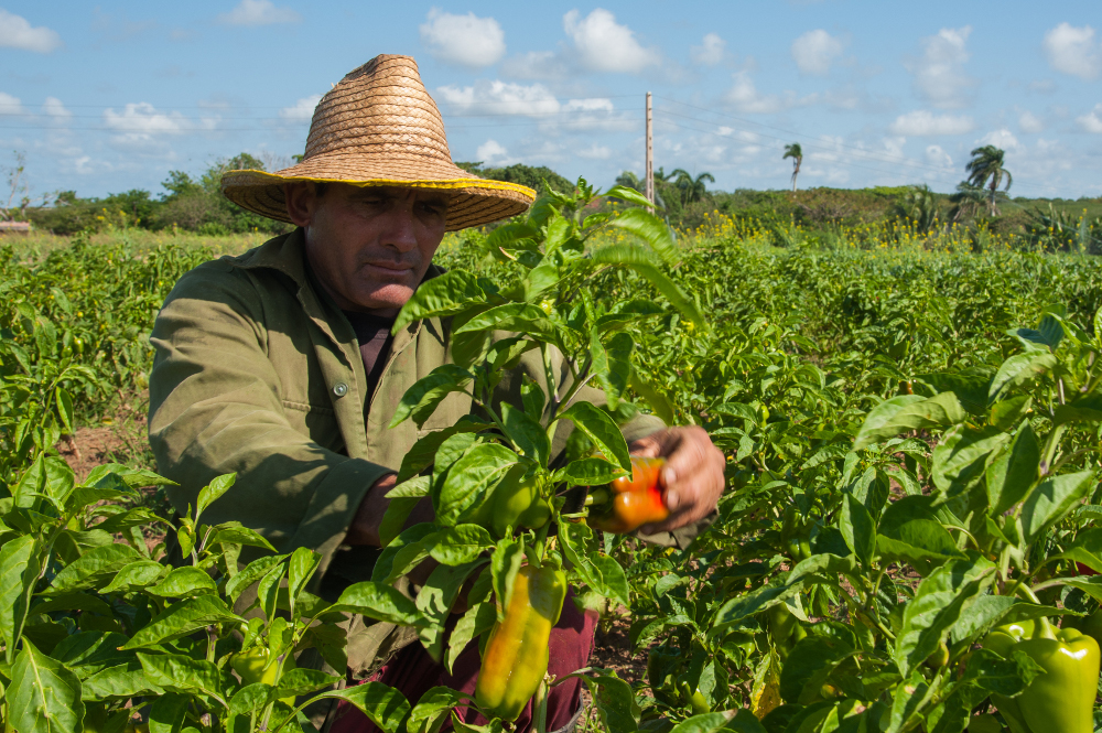 Foto: Leandro Pérez Pérez/Adelante/Archivo