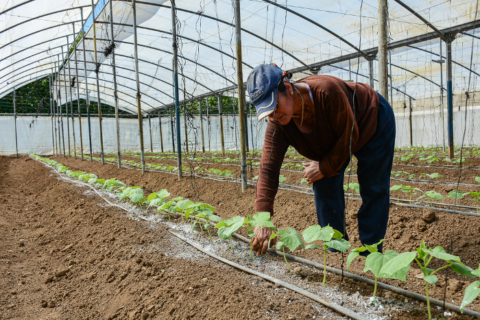 Productores de la finca El Alacrán destacados en Manejo Sostenible de Tierras