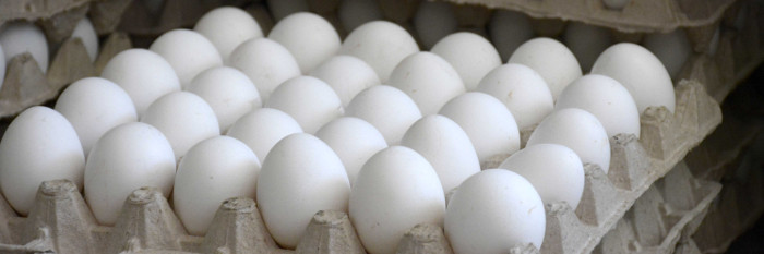 Incrementa Camagüey su producción de huevos
