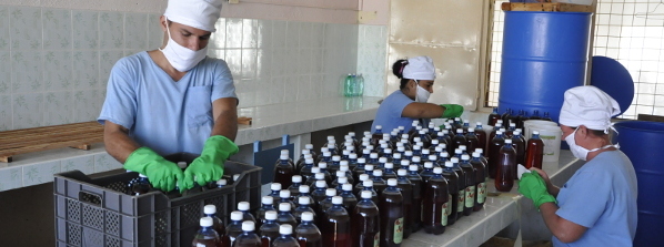 Minindustrias camagüeyanas por el autoabastecimiento alimentario