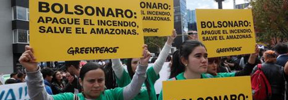 Greenpeace demanda plan urgente para detener fuego en la Amazonía (+Video)