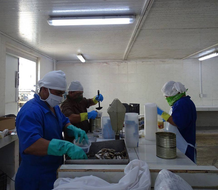 Empresa Pesquera Industrial en plena faena