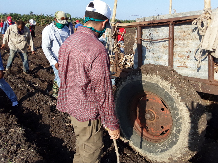 Como en Girón, pero desde el surco