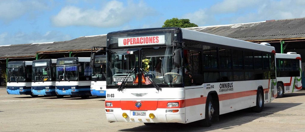 Camagüey incorpora ómnibus de mayor capacidad a la transportación de pasajeros
