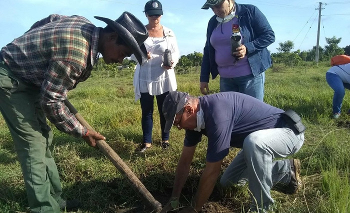 Técnicos agrícolas y forestales celebran reforestando