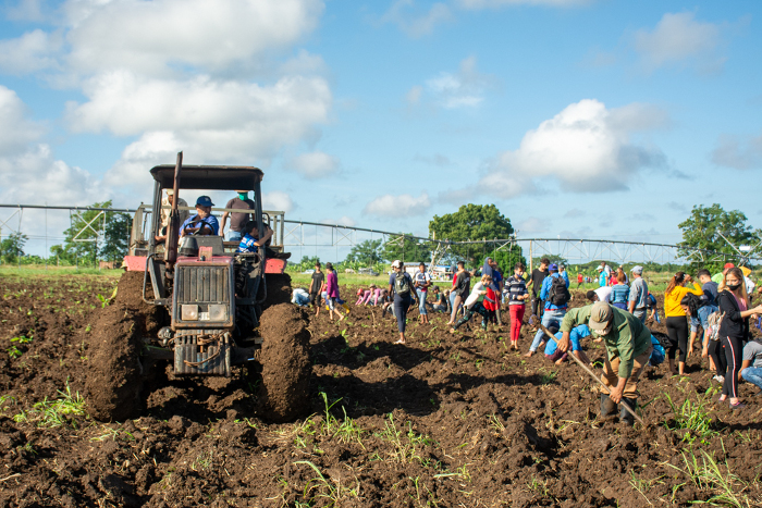 Fotos: Alejandro Rodríguez Leiva/ Adelante Tángana productiva en Camagüey
