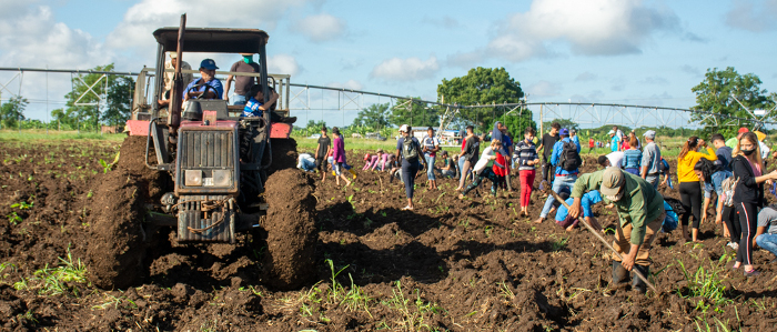Tángana productiva en Camagüey