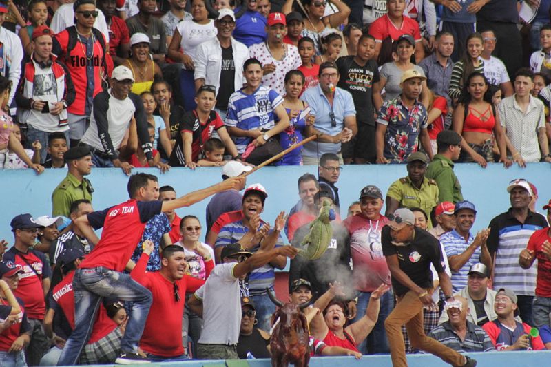 Foto: Alejandro Rodríguez Leiva/Adelante 