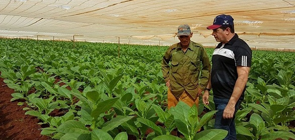 Un piropo para la tierra rojinegra
