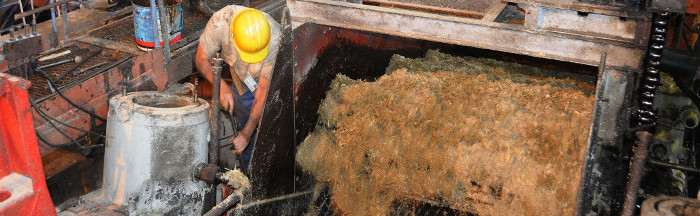 Comenzó producción de azúcar refino en Camagüey
