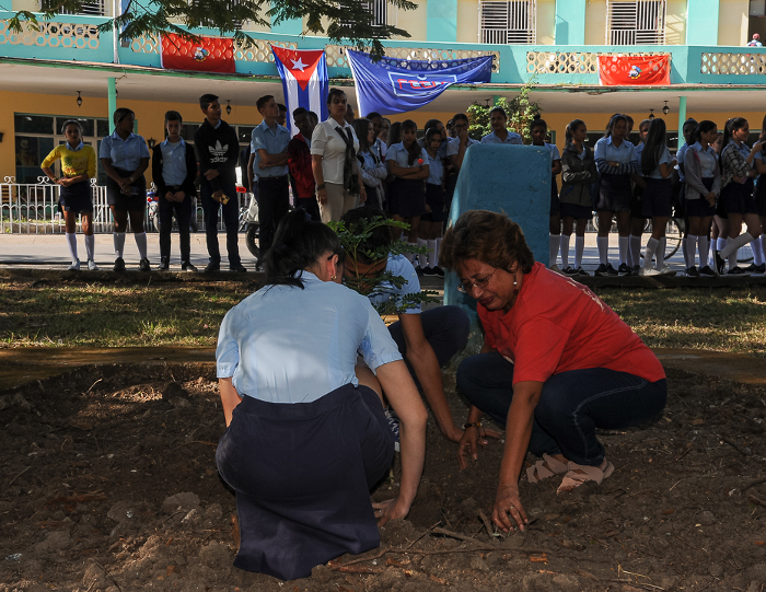 Nuevos árboles para honrar a Martí