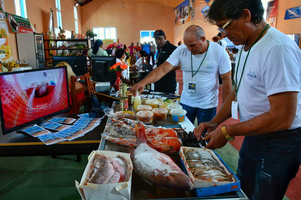 Foto: Leandro Pérez Pérez/Adelante/Archivo Del 9 al 13 de marzo bolsa comercial Expocam