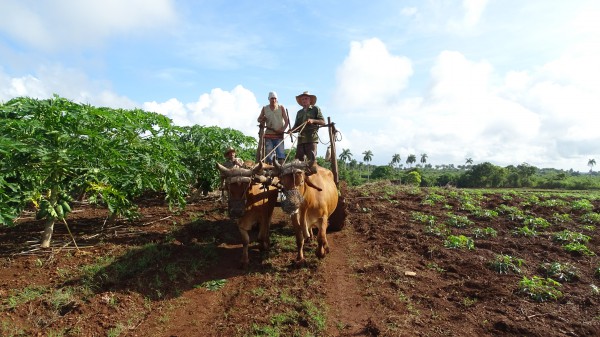 Minas: Agroecología en polo productivo de San Antonio (+ Fotos)