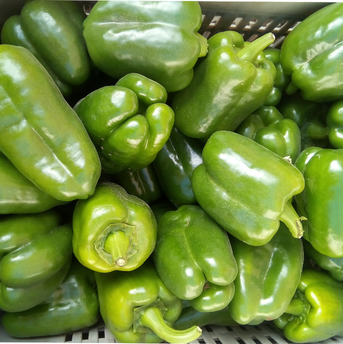 Cooperativa agrícola camagüeyana establece comercio con Meliá Hoteles 