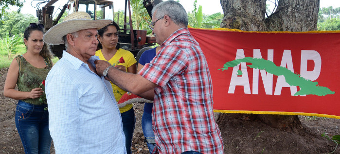 Reconoce Consejo de Estado empeño de campesinos camagüeyanos