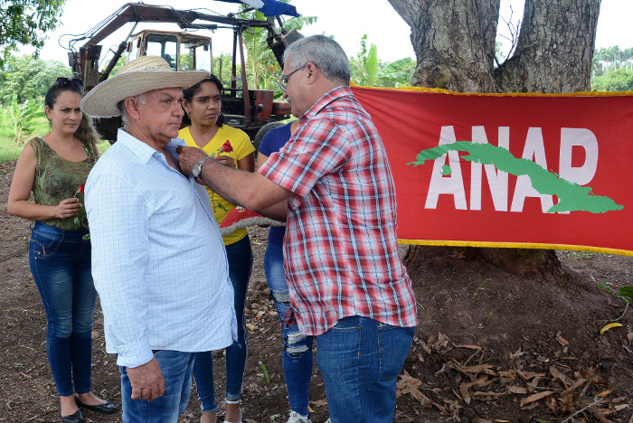 Reconoce Consejo de Estado empeño de campesinos camagüeyanos