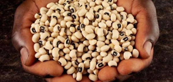 Acciones para aumentar la presencia de frijol en los mercados cubanos