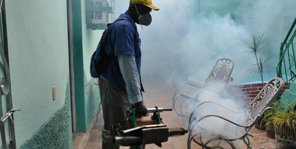 A raya al mosquito de patas rayadas
