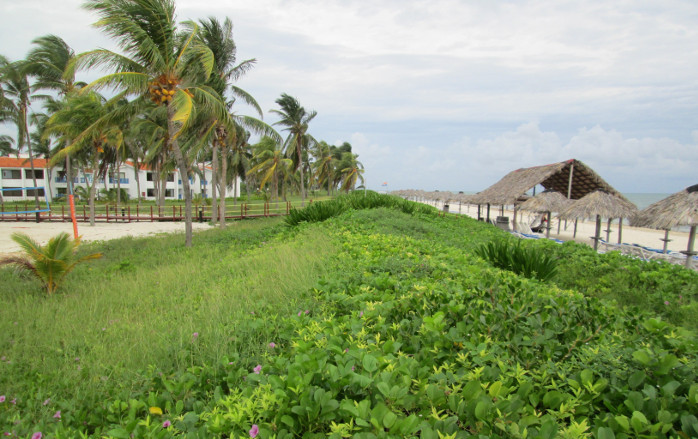 Ecosistemas costeros, una mirada retrospectiva y de futuro