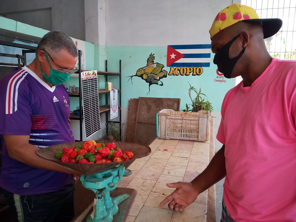 Esteban Ríos, profesor del Inder y delegado de circunscripción, de un lado del mostrador. Del otro, listo para llevar los productos, el baloncestista Ariolis Quintero. Foto: Del autor 